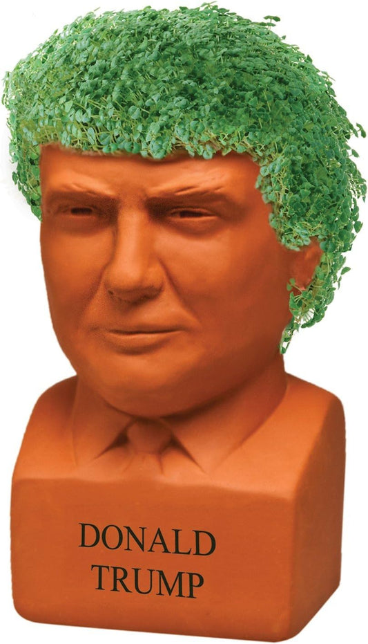 Chia Pet - Donald Trump